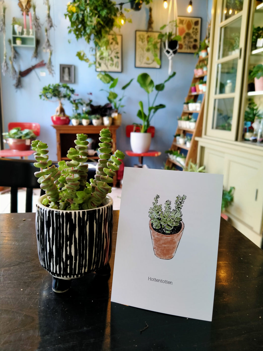 Stekjesabonnement cadeau gekregen!