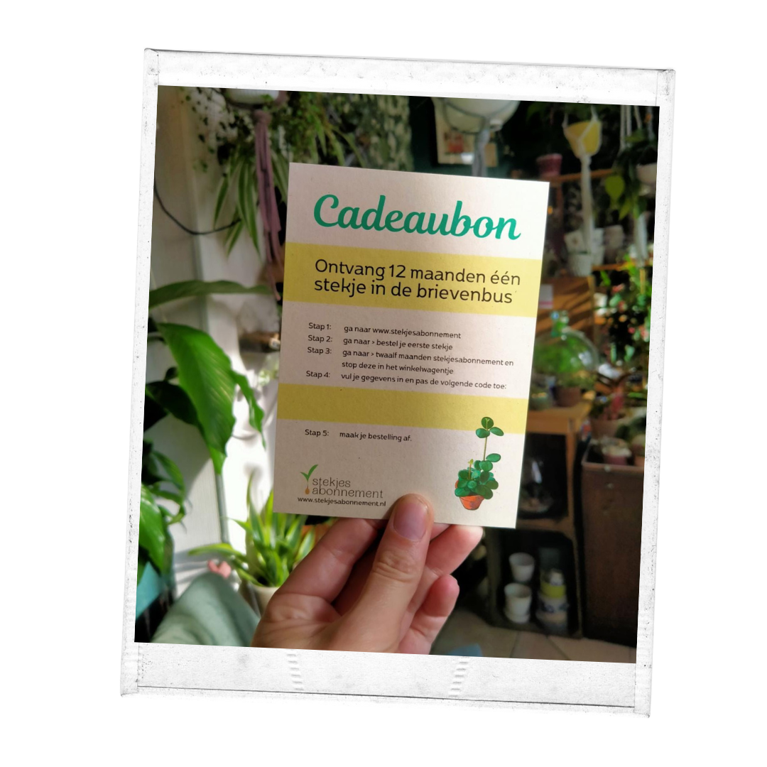 Cadeaubonnen
